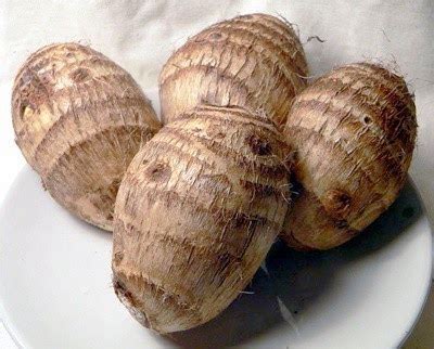 Cocoyam